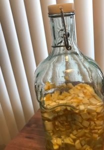 esrog, etrog, esrogim, etrogim
