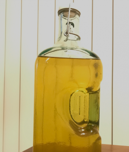 esrog, etrog, esrogim, etrogim